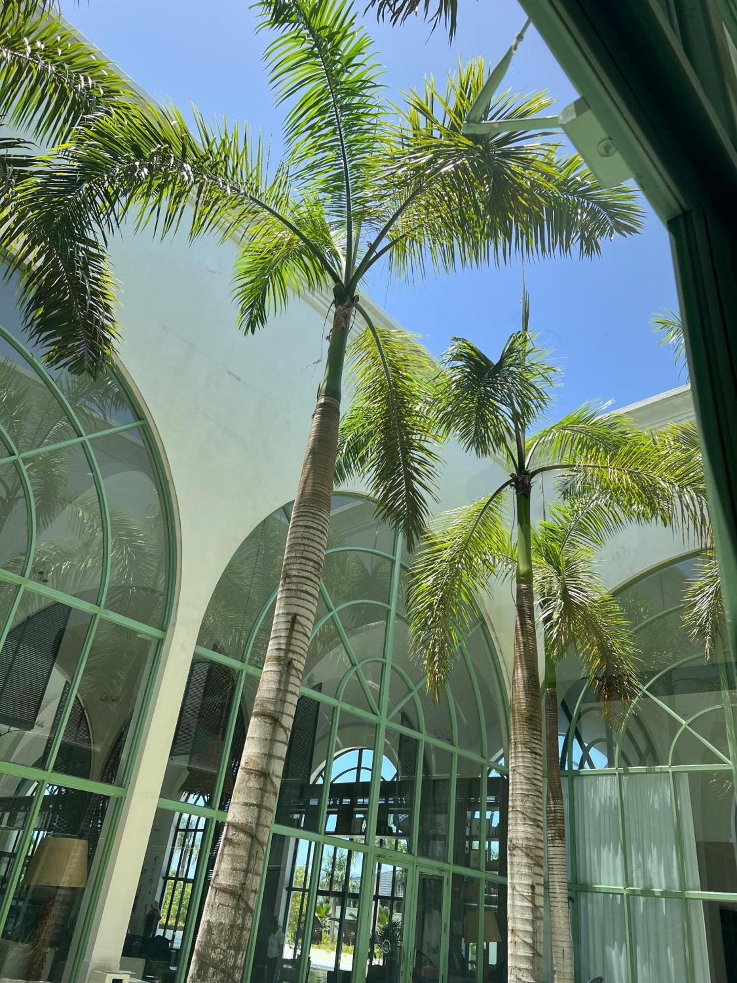 Ocean El Faro Resort (Adults Only) Punta Cana Exterior photo